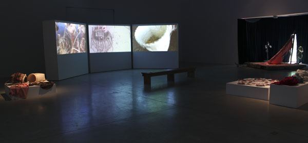 Artlab MFA Thesis Exhibition: Anthea Black (2012) - Installation